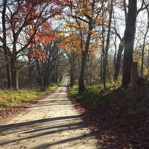 Meet your Posher, Marsha